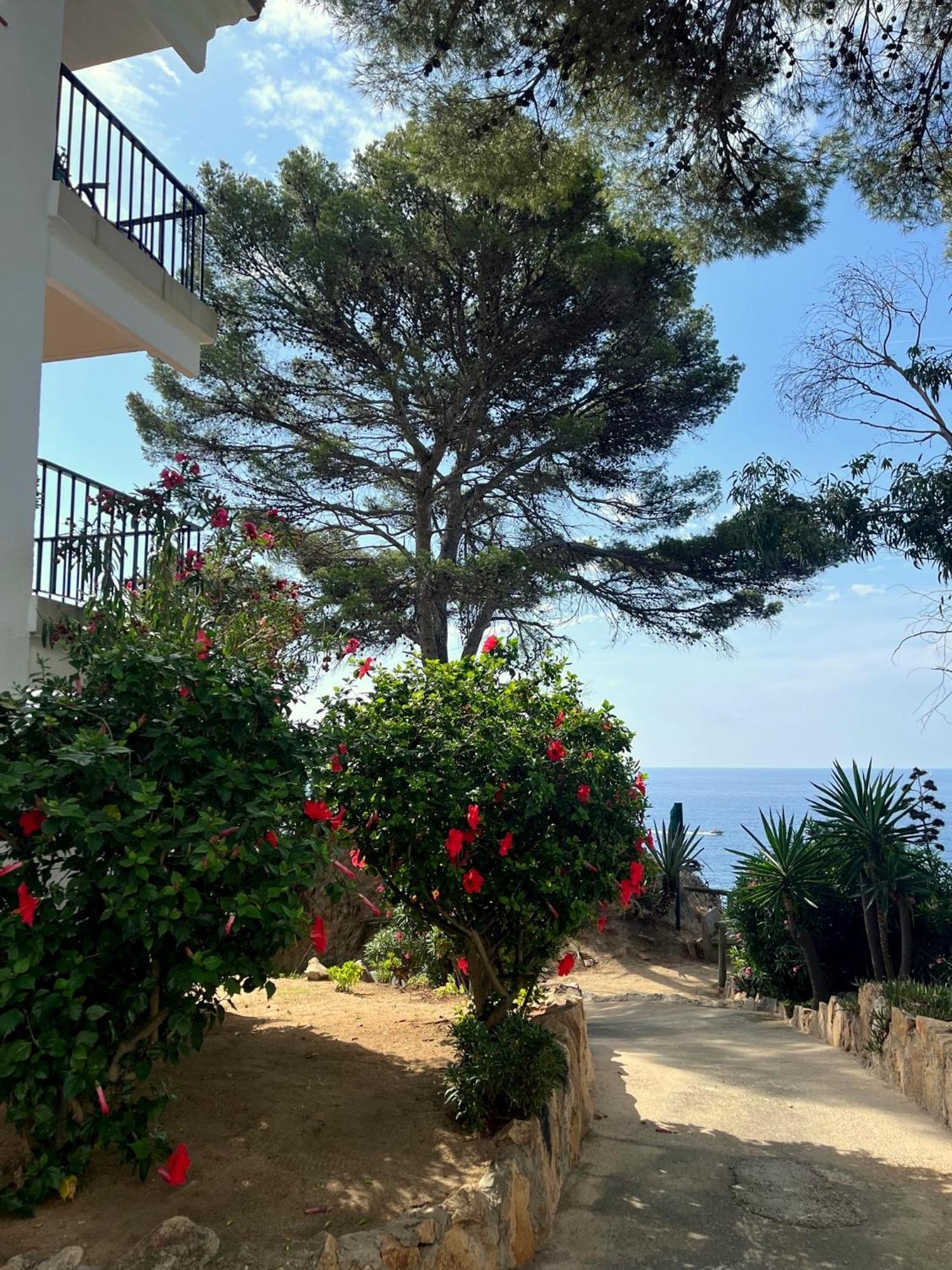 Les Terrasses De Cala Llevado Apartment Tossa de Mar Exterior foto